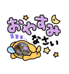 moca Shiba inu（個別スタンプ：2）