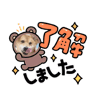 moca Shiba inu（個別スタンプ：4）