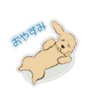 アメコカ 銀時（個別スタンプ：2）