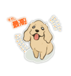 アメコカ 銀時（個別スタンプ：3）