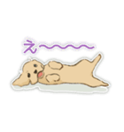 アメコカ 銀時（個別スタンプ：4）