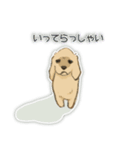 アメコカ 銀時（個別スタンプ：13）