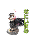 らいらいとせーなのハピデイ（個別スタンプ：18）