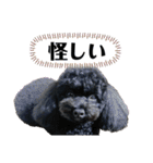 すあぴ（個別スタンプ：2）