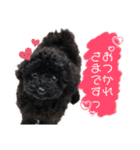 すあぴ（個別スタンプ：4）