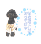 すあぴ（個別スタンプ：5）