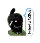 すあぴ（個別スタンプ：6）