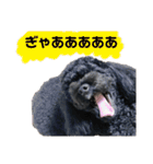 すあぴ（個別スタンプ：7）