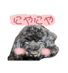 すあぴ（個別スタンプ：8）