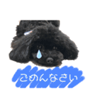 すあぴ（個別スタンプ：10）