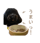 すあぴ（個別スタンプ：12）