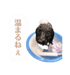 すあぴ（個別スタンプ：14）