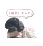 すあぴ（個別スタンプ：16）