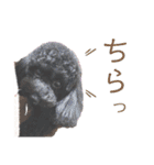 すあぴ（個別スタンプ：17）
