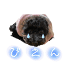 すあぴ（個別スタンプ：24）