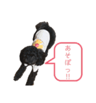 すあぴ（個別スタンプ：25）