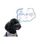 すあぴ（個別スタンプ：27）