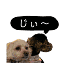 すあぴ（個別スタンプ：32）