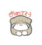 まぬぬねこ（マヌルネコ）（個別スタンプ：11）