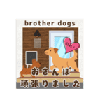 brotherdogsスタンプ（個別スタンプ：6）