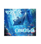沖縄観光（個別スタンプ：10）