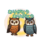 フクロウイラストの毎日使える挨拶（個別スタンプ：5）