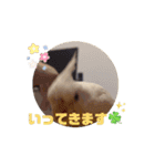 オカメのこめたん2（個別スタンプ：5）