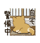 柴犬・茶色い犬『○○してる』（個別スタンプ：4）