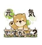 柴犬・茶色い犬『○○してる』（個別スタンプ：14）