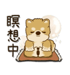 柴犬・茶色い犬『○○してる』（個別スタンプ：17）