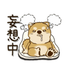 柴犬・茶色い犬『○○してる』（個別スタンプ：18）