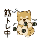 柴犬・茶色い犬『○○してる』（個別スタンプ：20）