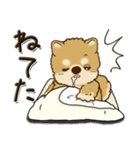 柴犬・茶色い犬『○○してる』（個別スタンプ：21）