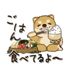 柴犬・茶色い犬『○○してる』（個別スタンプ：22）