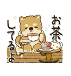 柴犬・茶色い犬『○○してる』（個別スタンプ：24）