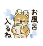 柴犬・茶色い犬『○○してる』（個別スタンプ：25）