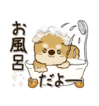 柴犬・茶色い犬『○○してる』（個別スタンプ：26）