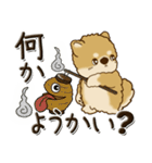 柴犬・茶色い犬『○○してる』（個別スタンプ：27）