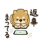 柴犬・茶色い犬『○○してる』（個別スタンプ：33）