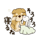 柴犬・茶色い犬『○○してる』（個別スタンプ：35）