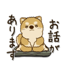 柴犬・茶色い犬『○○してる』（個別スタンプ：37）