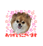ゆずとはっさくスタンプ②（個別スタンプ：4）