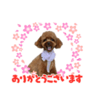ゆずとはっさくスタンプ②（個別スタンプ：5）