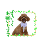 ゆずとはっさくスタンプ②（個別スタンプ：7）