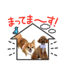 ゆずとはっさくスタンプ②（個別スタンプ：8）