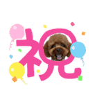 ゆずとはっさくスタンプ②（個別スタンプ：10）