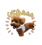 ゆずとはっさくスタンプ②（個別スタンプ：11）
