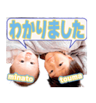 みなとうまの日常すたんぷ（個別スタンプ：12）