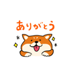 しばわん。（個別スタンプ：2）