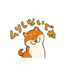 しばわん。（個別スタンプ：11）